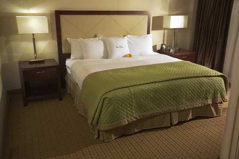 Doubletree By Hilton Tampa Rocky Point Waterfront 호텔 객실 사진